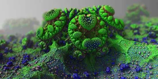 mold-mildew-pixa How to get rid of the musty smell?