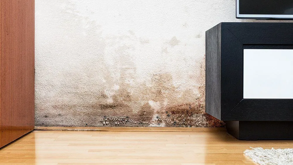 why-does-the-air-in-my-house-smell-stale What are the causes of the musty odor?