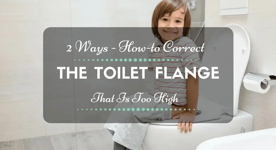 2 Ways on How to Correct Toilet Flange That Is Too High