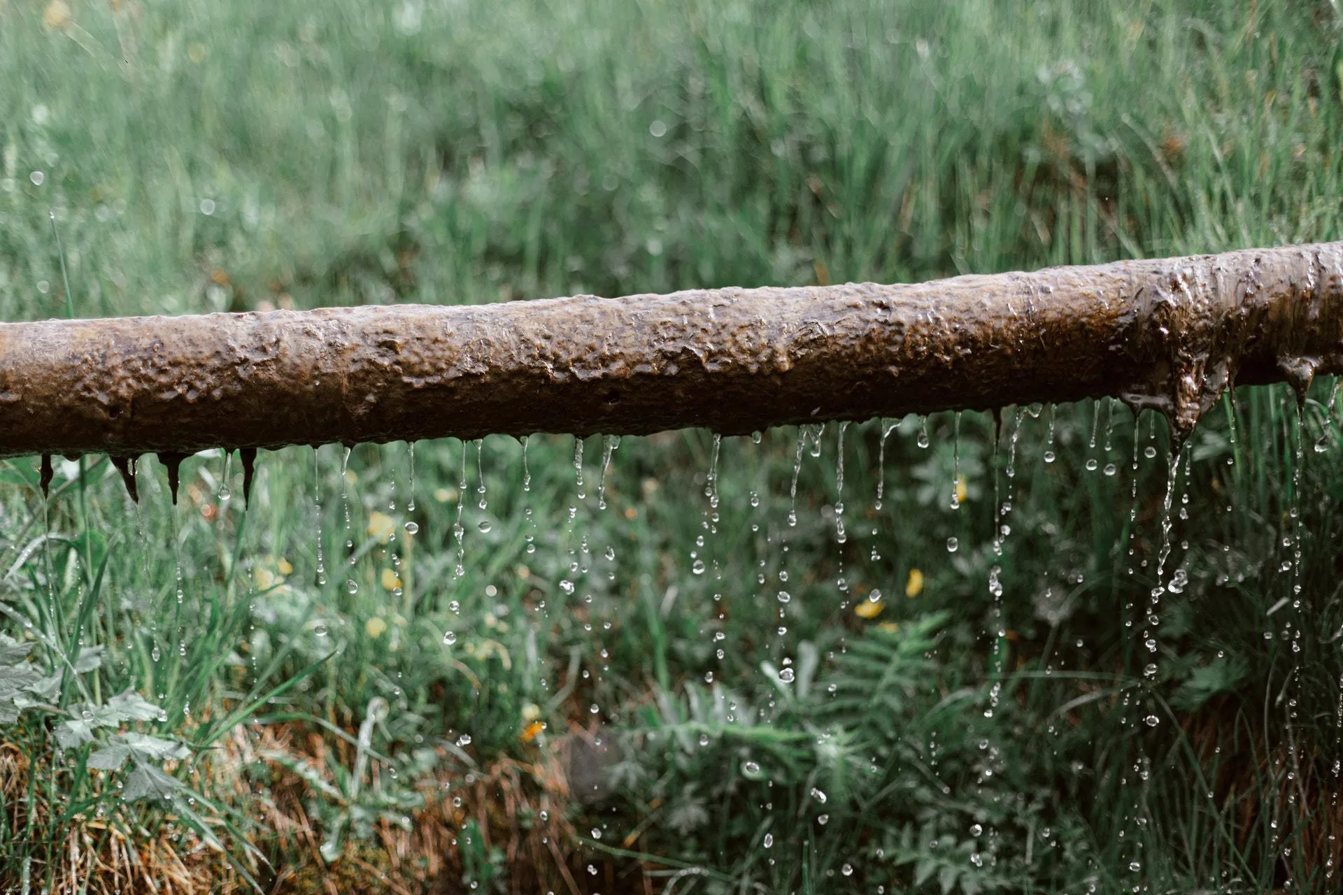 why you may have a leaking pipe.