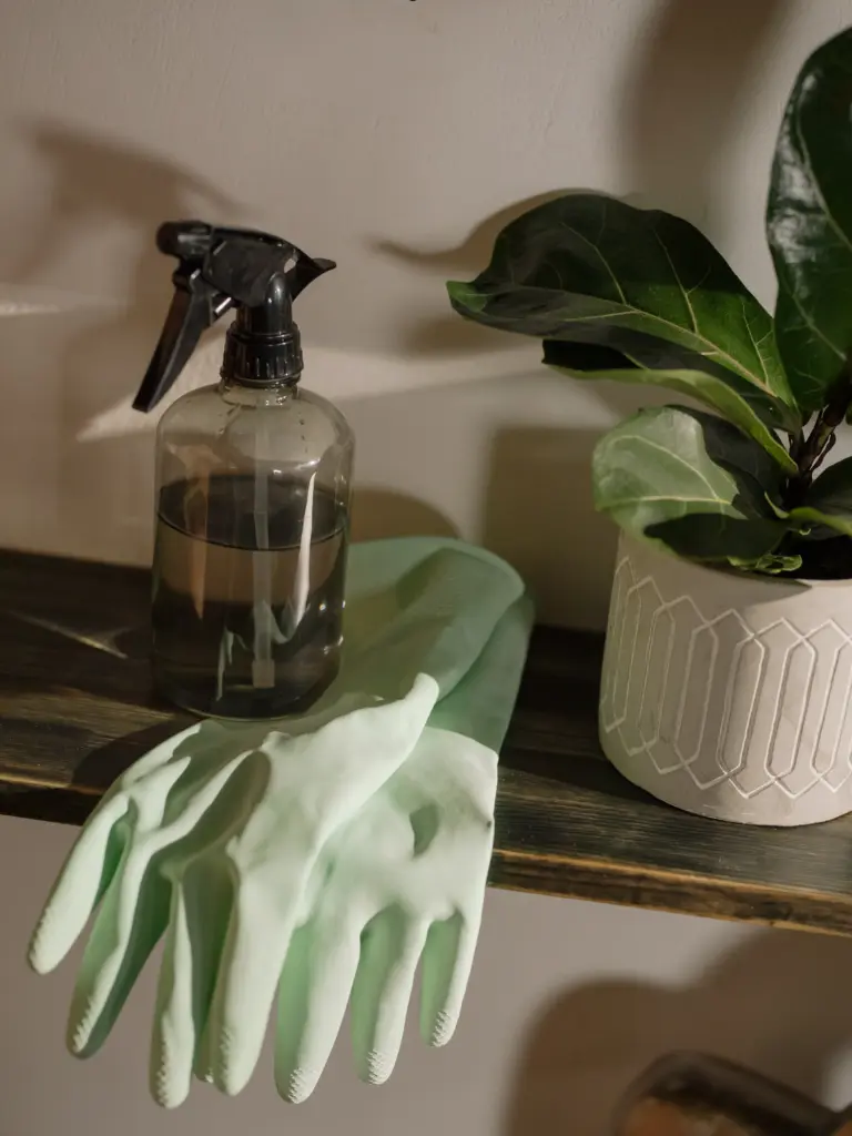 13 Tips For the Perfect Deep Clean