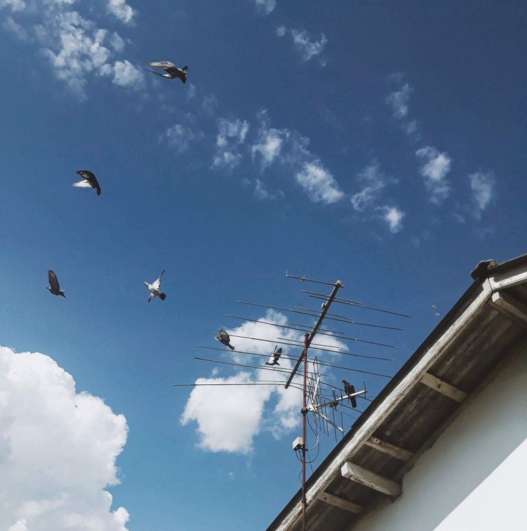 The Complete TV Antenna Installation Guide 🏠 🏠