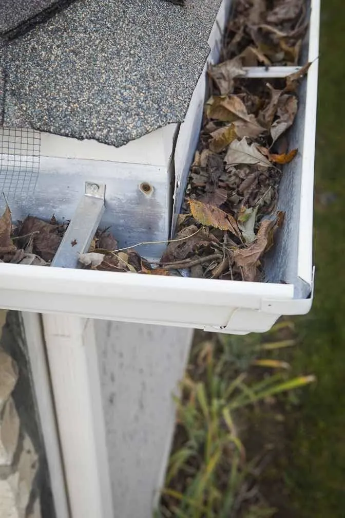 Gutter protectors help reduce insect and mouse infestations.