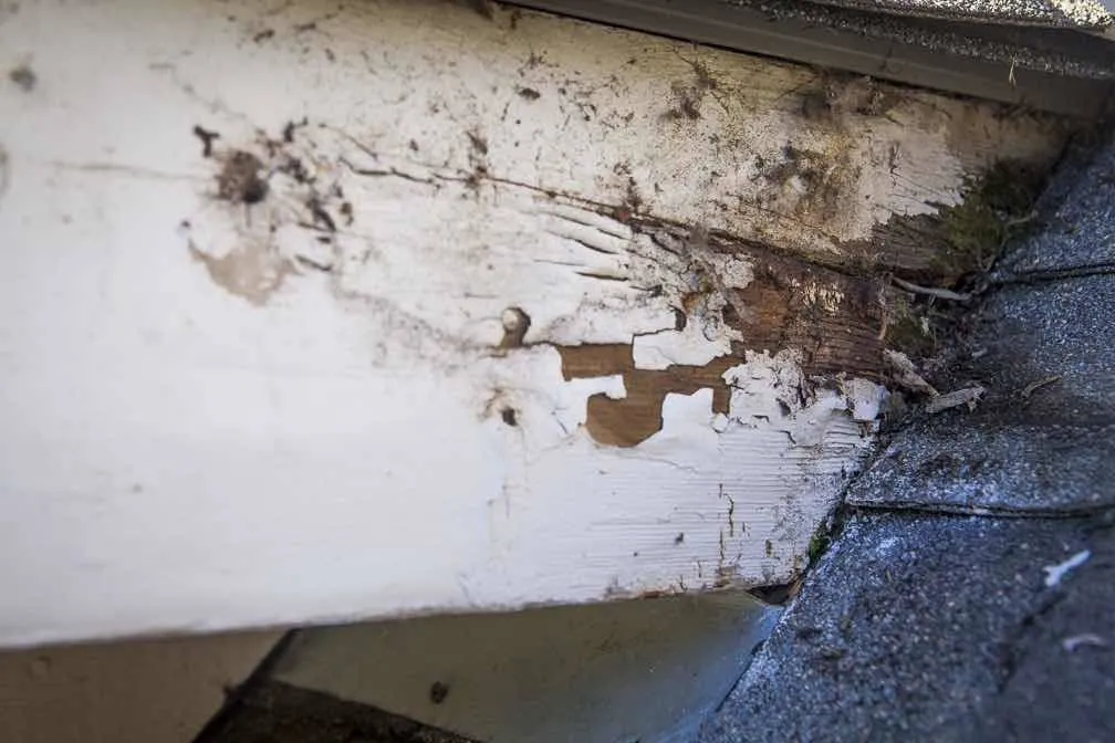 Gutter Guards protect from Corrosion