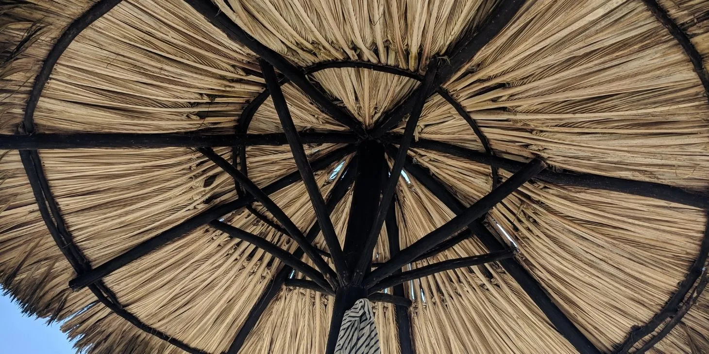 Palapa Thatch
