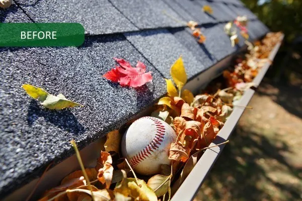 Advantages of Gutter Guards | Before