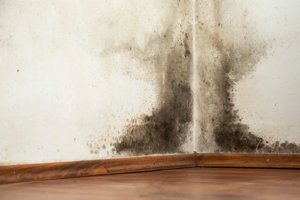 Dangers At Home That You Should Not Overlook 2