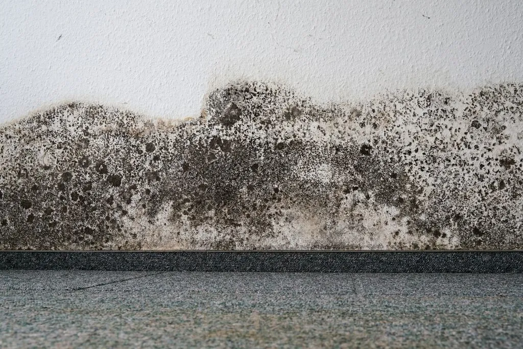 Dangers At Home That You Should Not Overlook