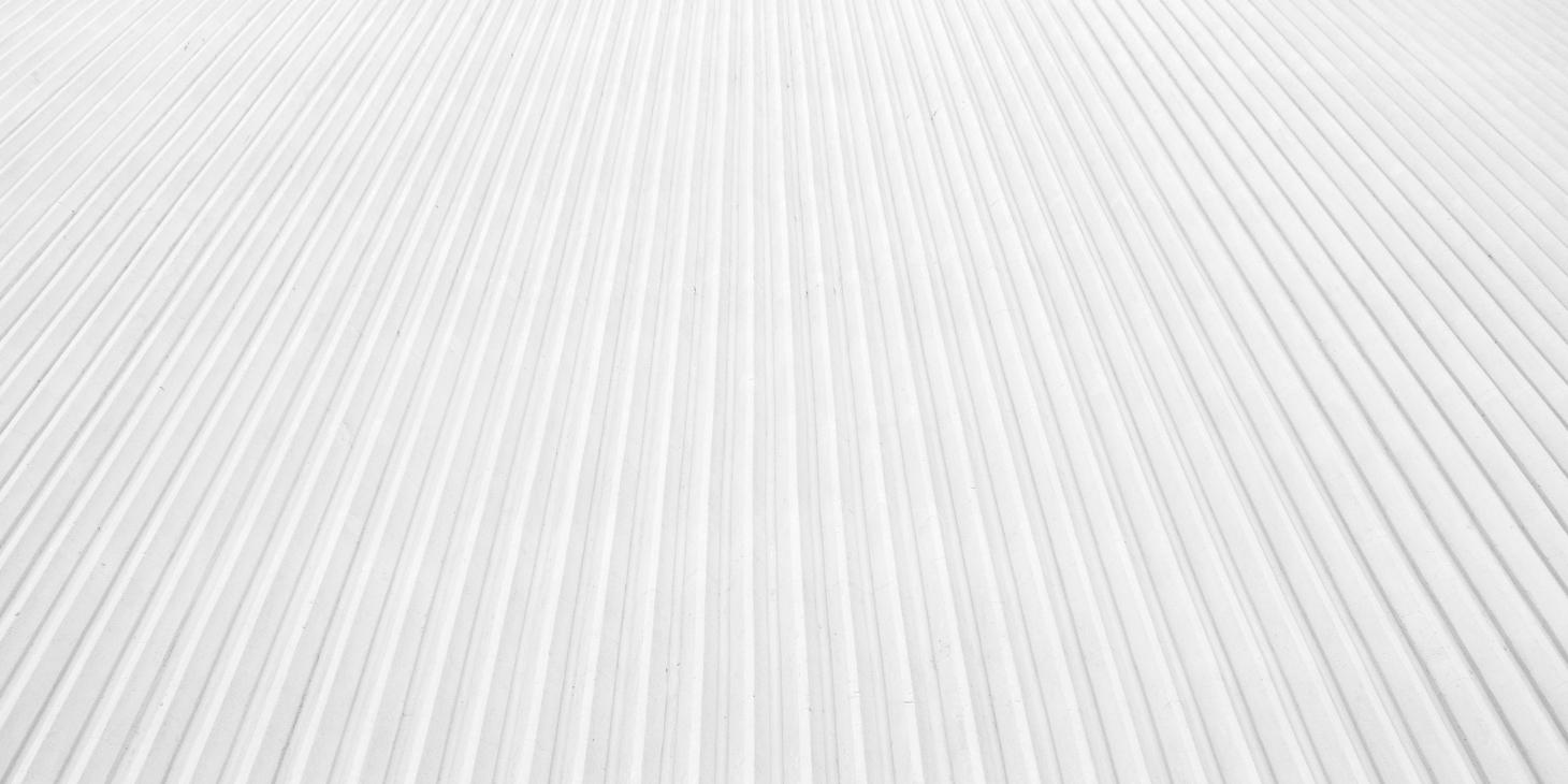Commercial Roof Repair Service