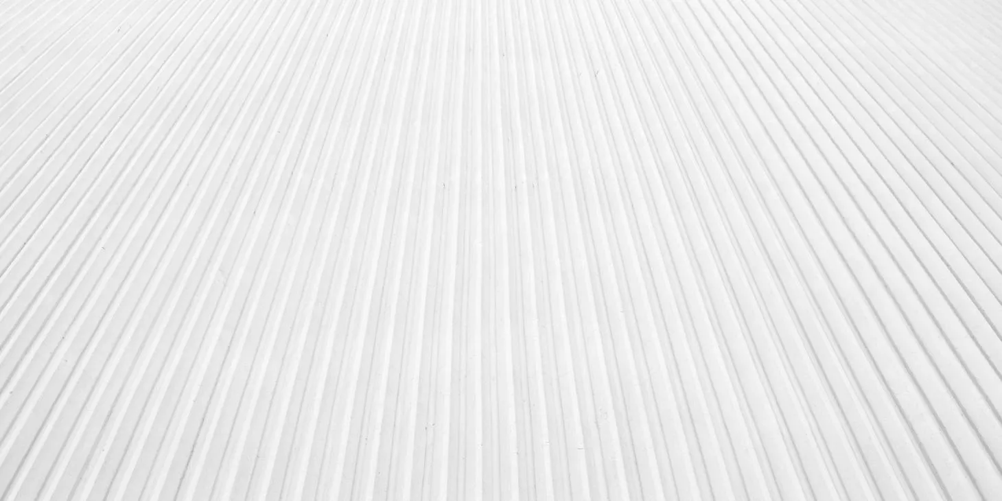 Commercial Roof Repair Service