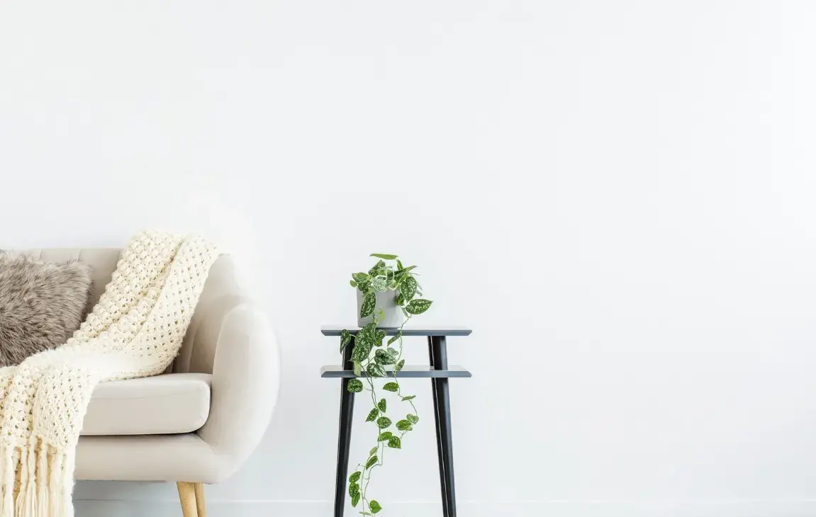 Living Room And Board Furniture- How To Choose The Right One?