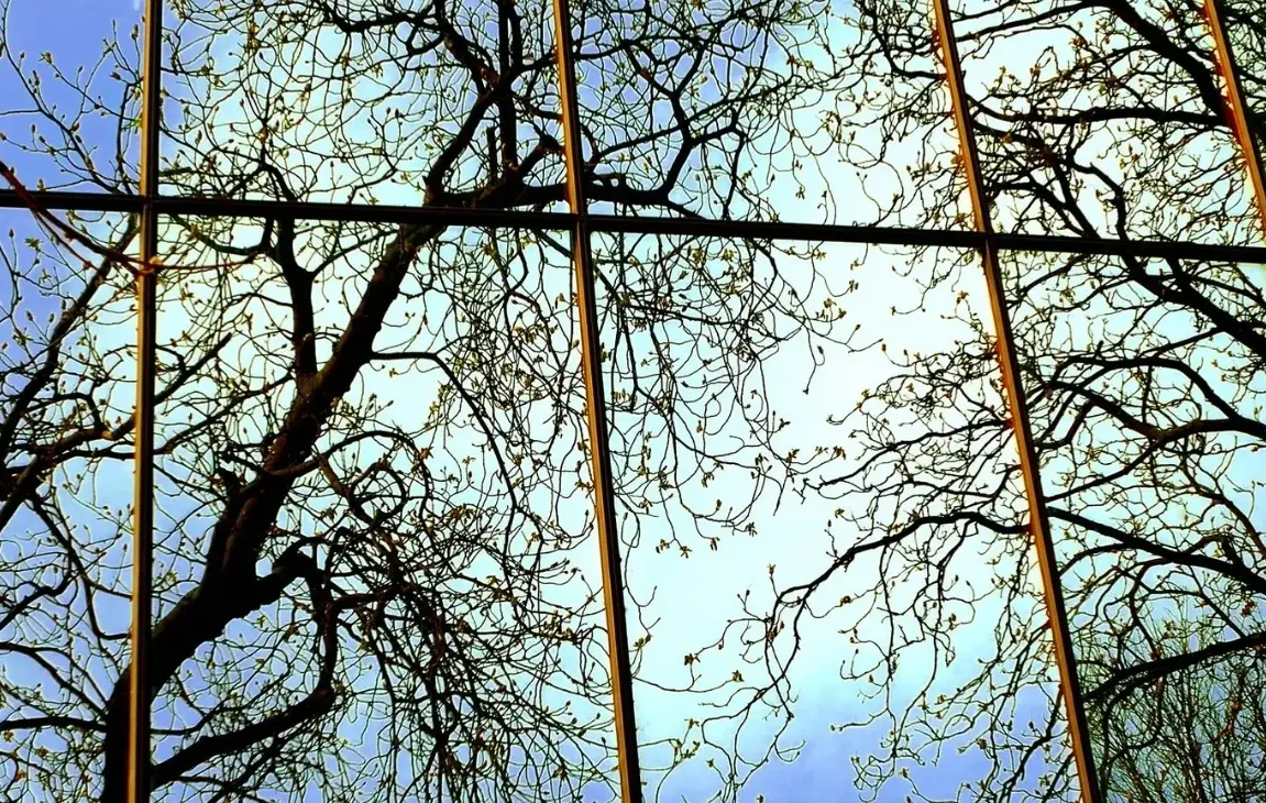 What Are The Signs That You May Need A Window Replacement