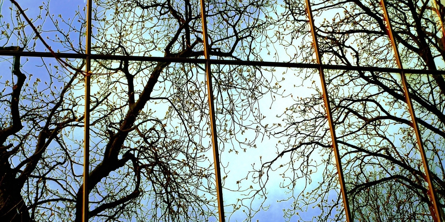 What Are The Signs That You May Need A Window Replacement