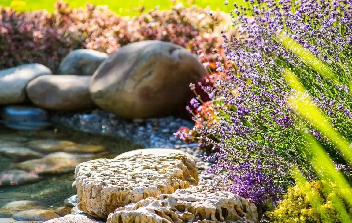 Can Landscaping Increase the Value of Your House