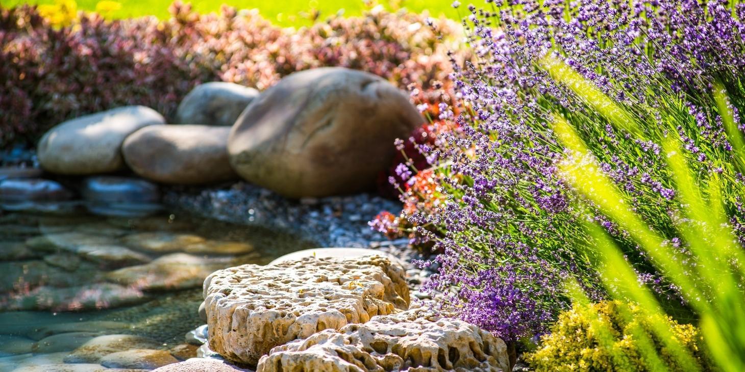 Can Landscaping Increase the Value of Your House