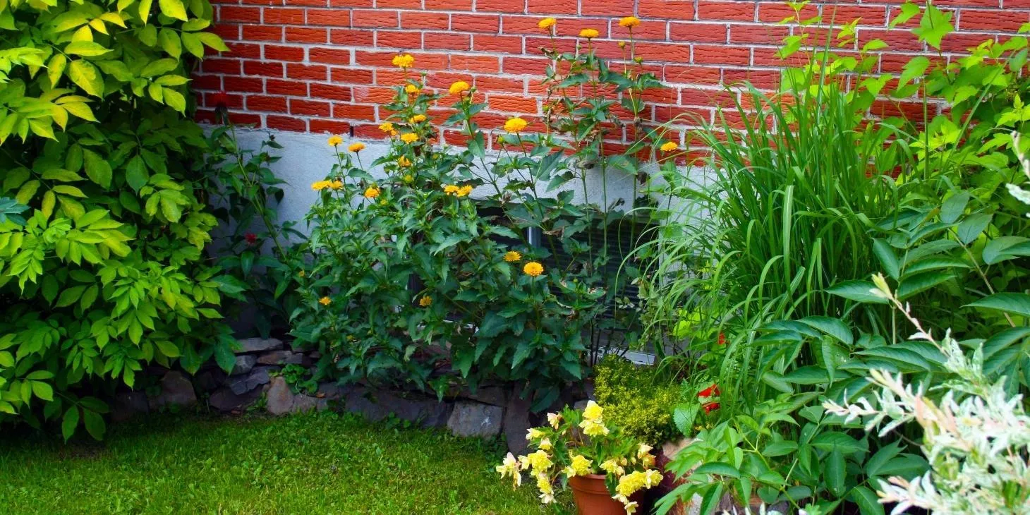 Get Into Some Landscaping