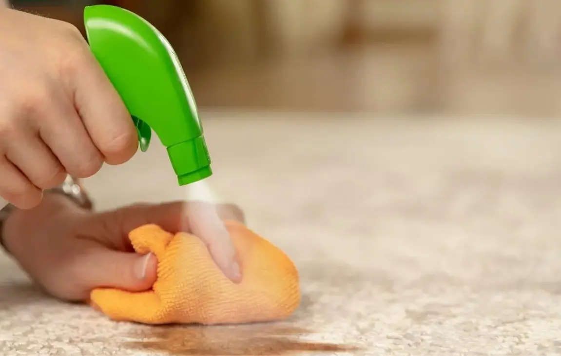 How To Remove Coffee Stains From Your Carpet
