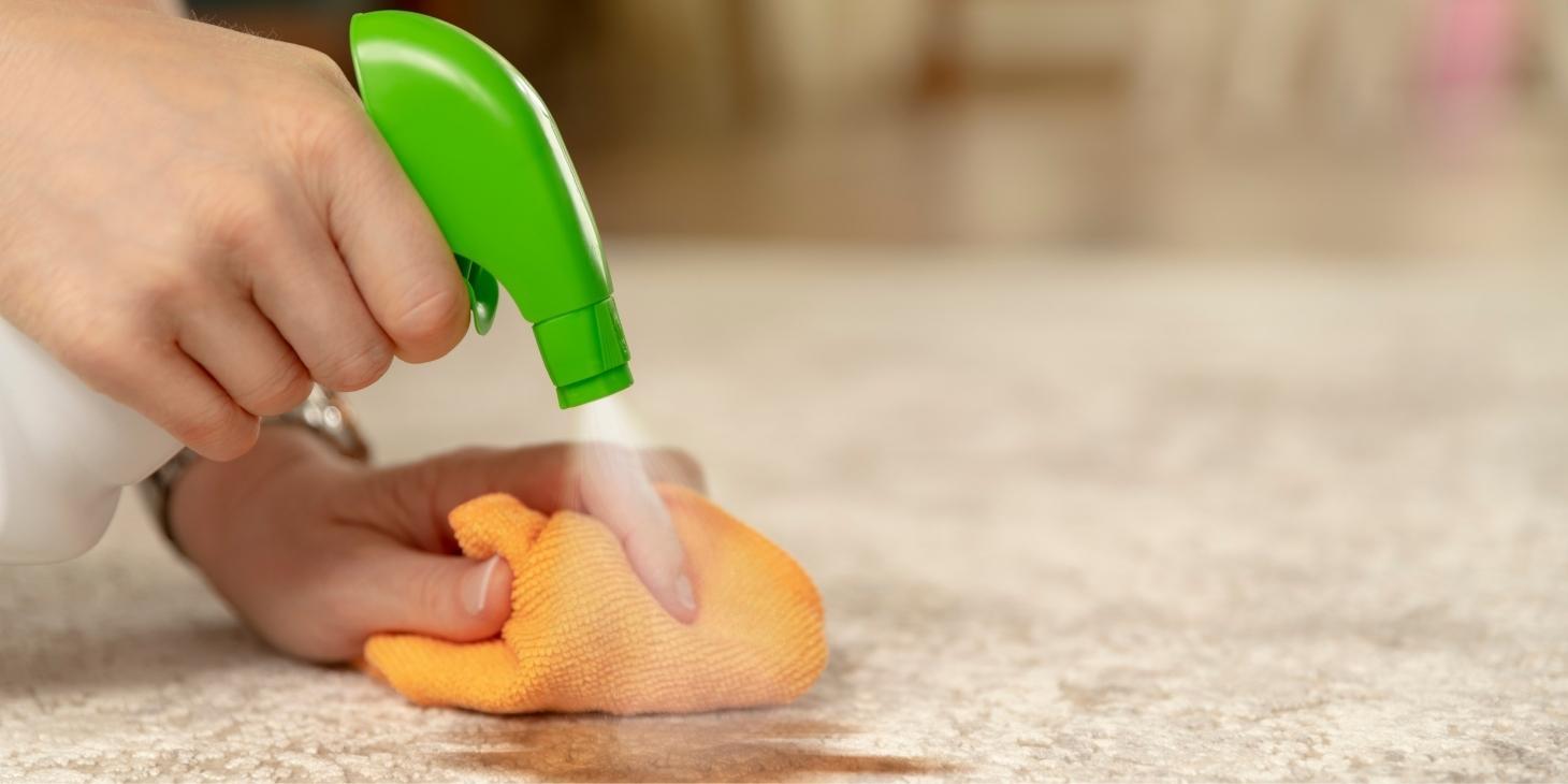 How To Remove Coffee Stains From Your Carpet? Homienjoy