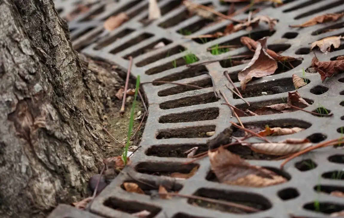 The Little Things Tree Grates Do Make a Big Difference