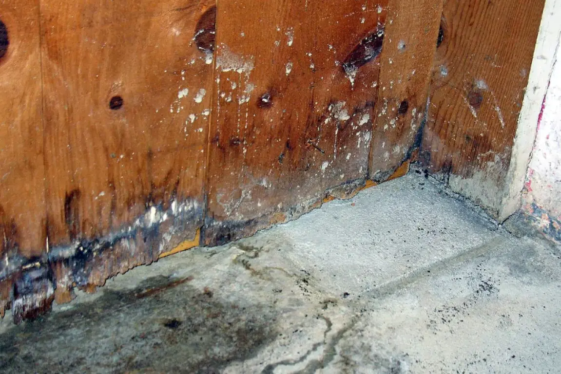 Water Damage Restoration Tips For Homeowners