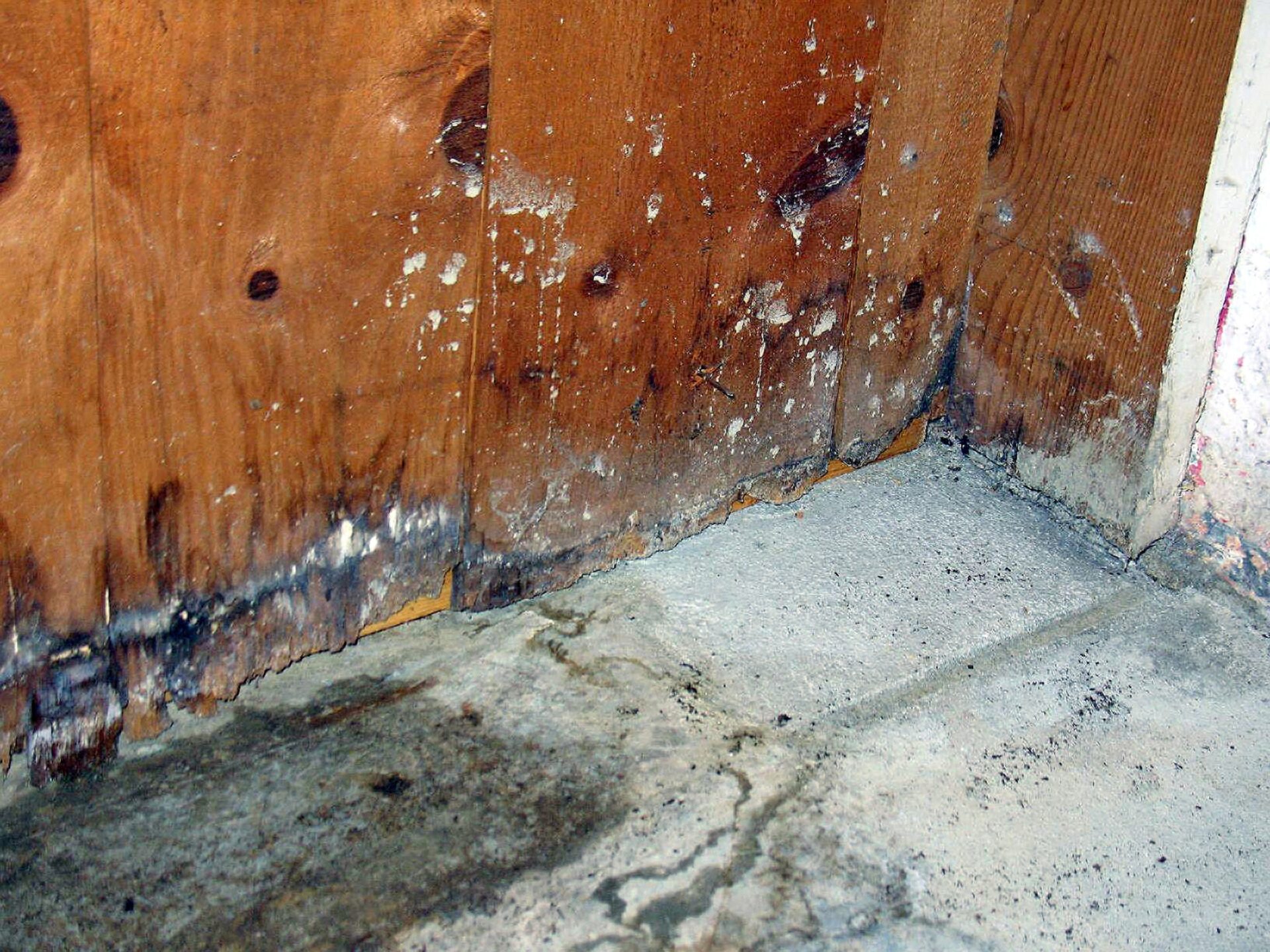 Water Damage Restoration Tips For Homeowners
