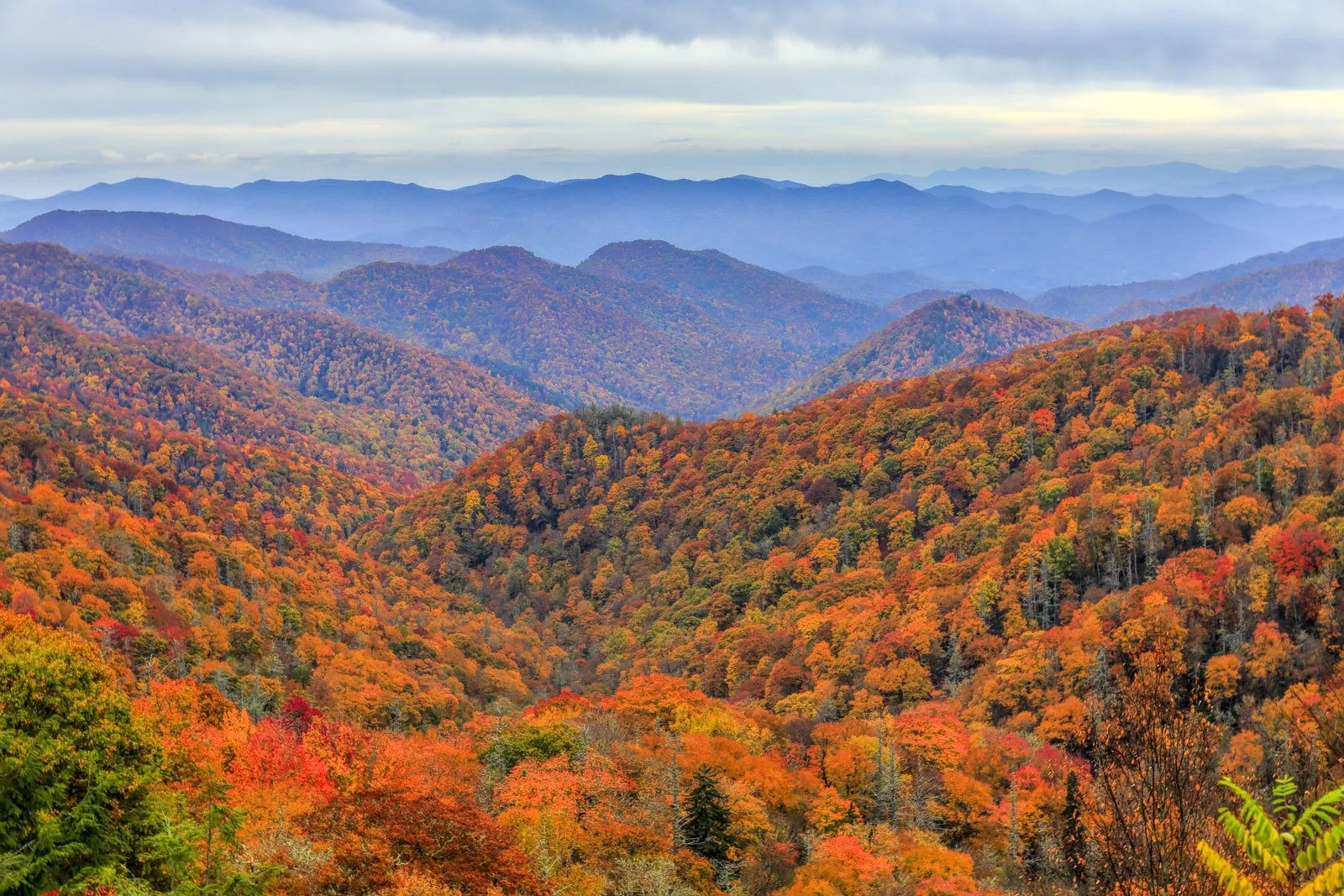 North Carolina | Capital, Map, History, &amp; Facts | Britannica