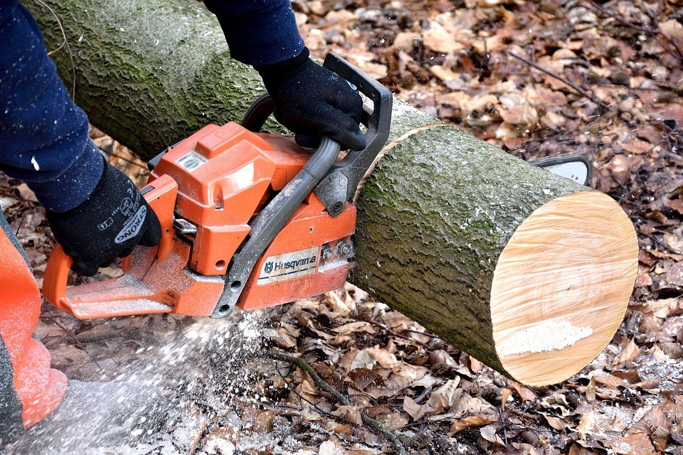 How To Safely Operate a Chainsaw When Building a Cabin