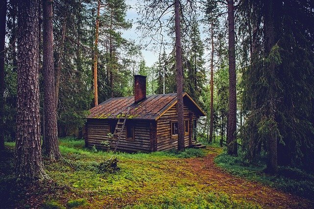 Dreaming Of A Cute Cabin To Live In? Here's What You Can Do