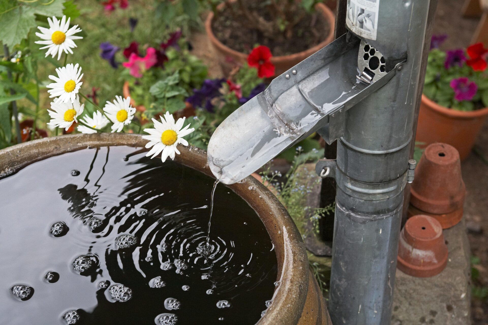 3 Ways To Reduce Stormwater Runoff At Home