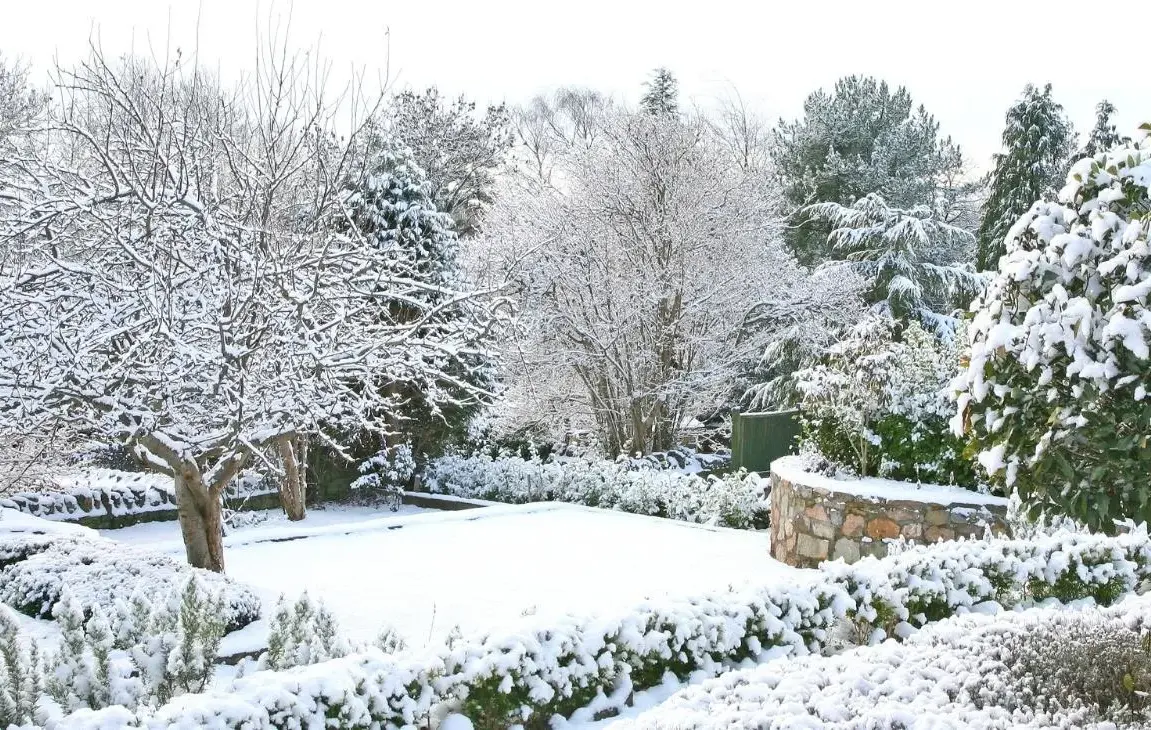 How To Create a Winter Wonderland in Your Garden