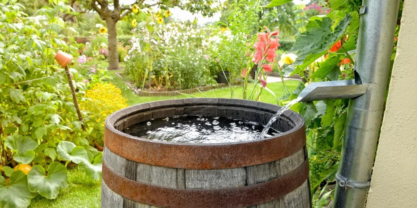 Install a Rain Barrel
