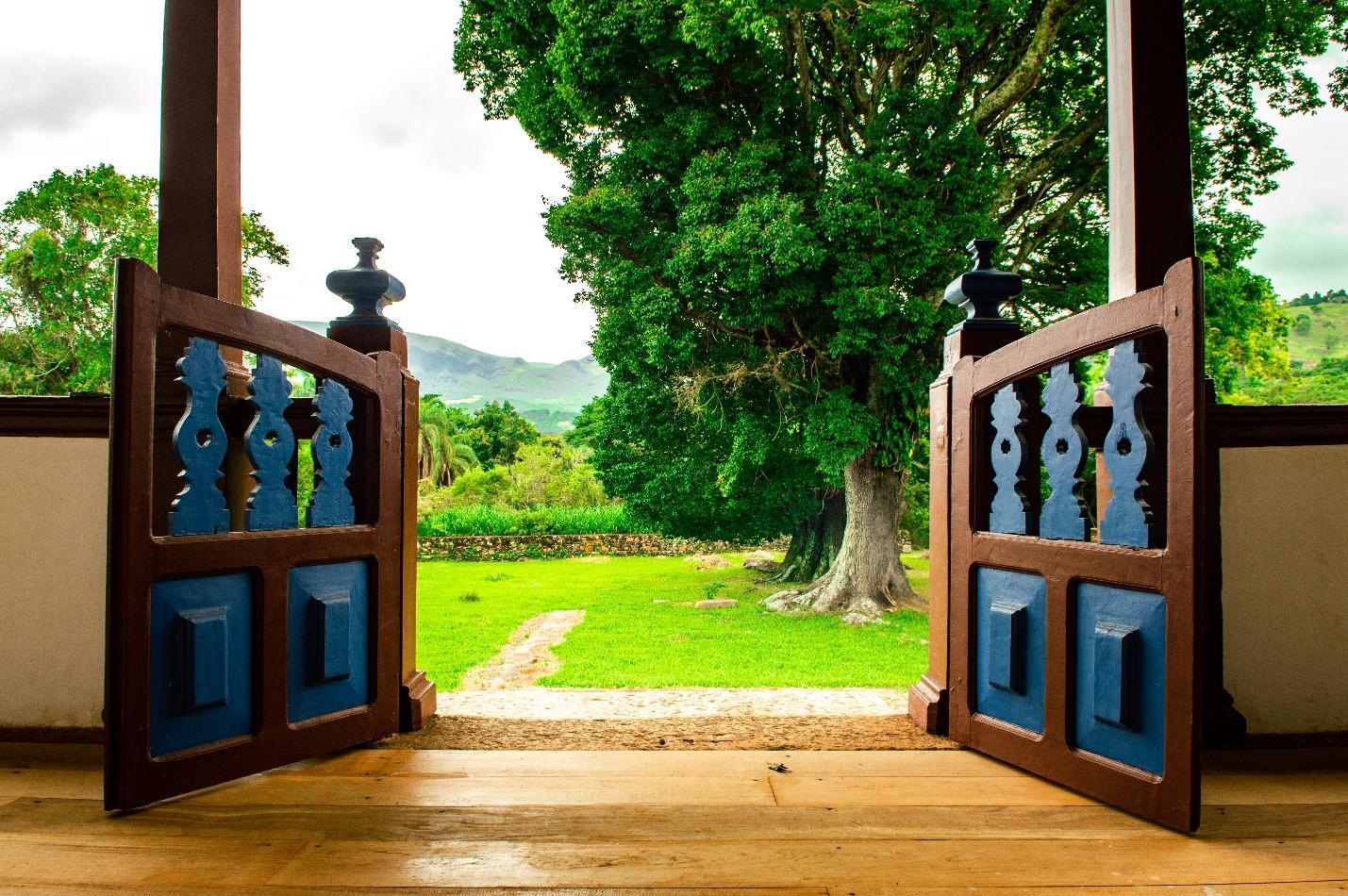 Lovely Backyard Features That Help You Save Money While Looking Great