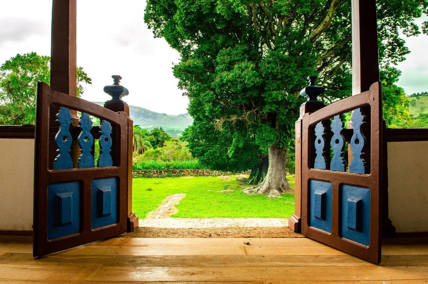 Lovely Backyard Features That Help You Save Money While Looking Great