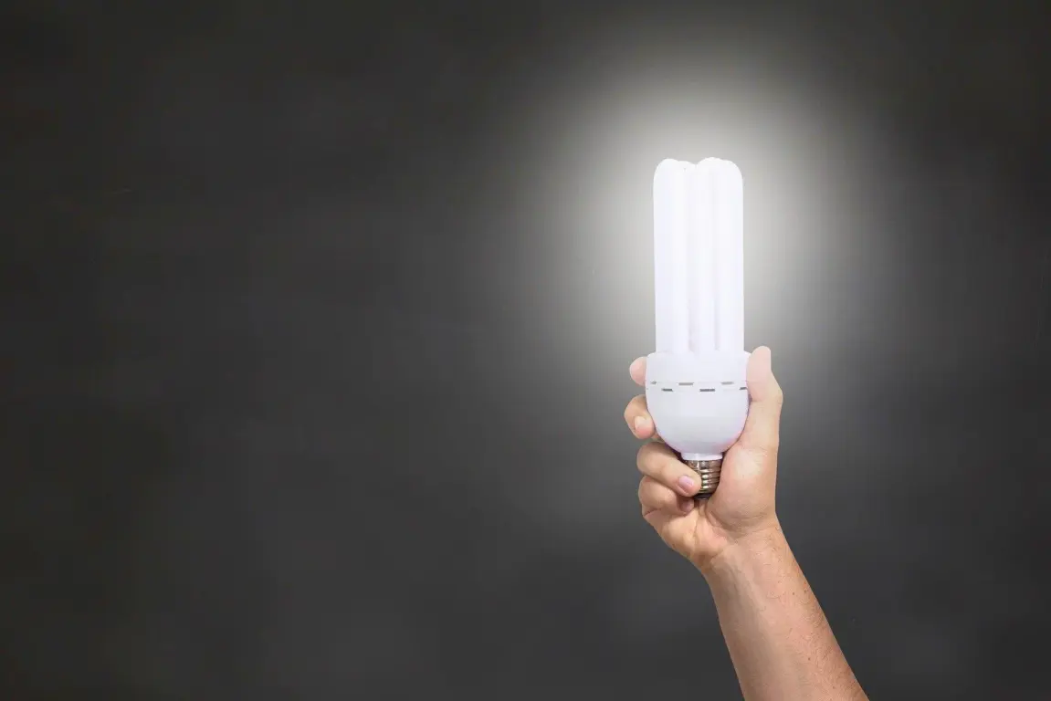 A Useful Guide To Learn Everything On How To Use LED Grow Lights