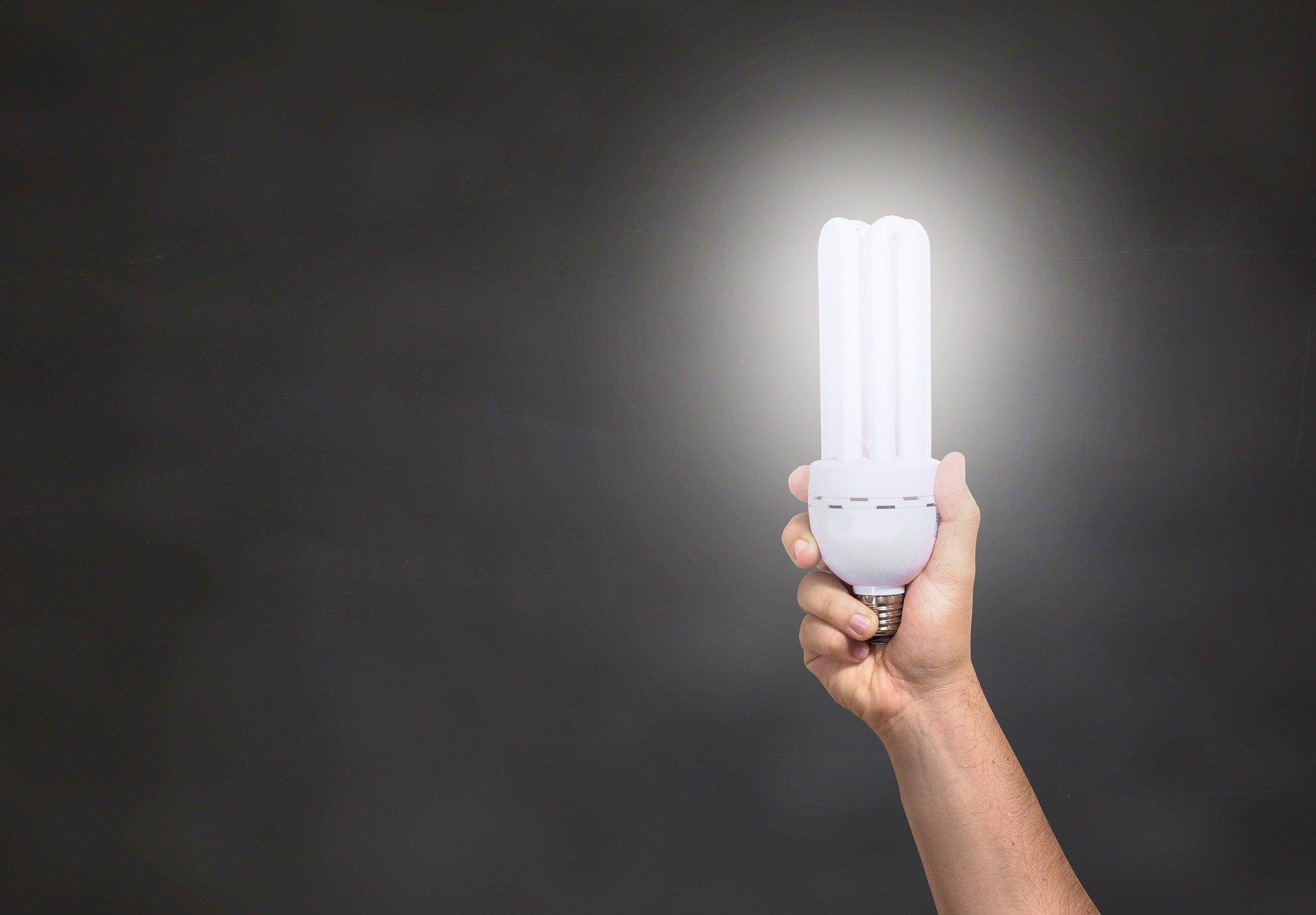 A Useful Guide To Learn Everything On How To Use LED Grow Lights