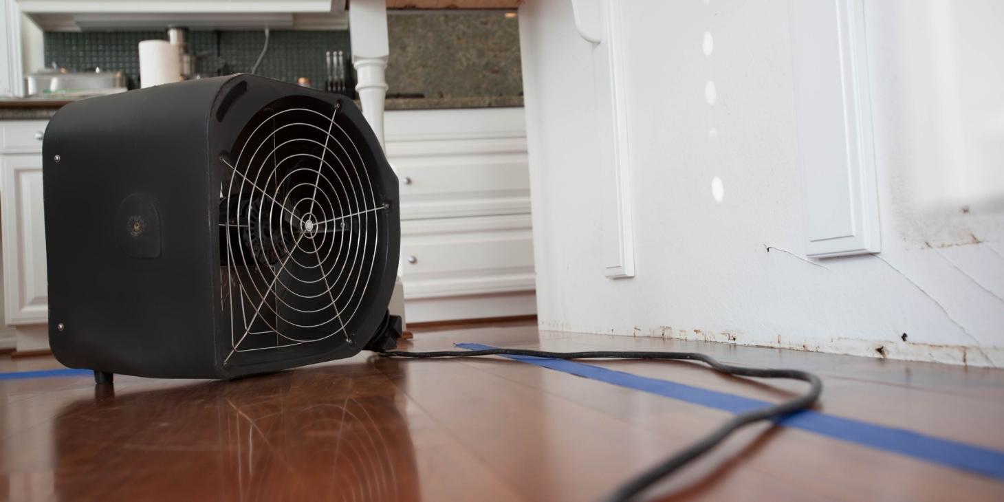 Water Damage Restoration in 2022