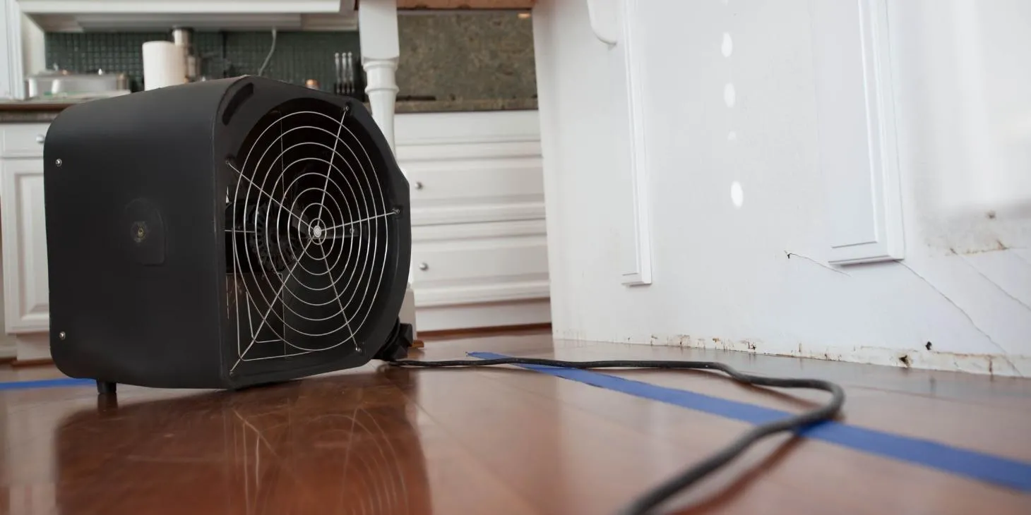 Water Damage Restoration in 2022