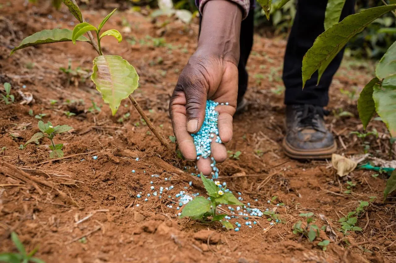 Protect Against Pests and Diseases