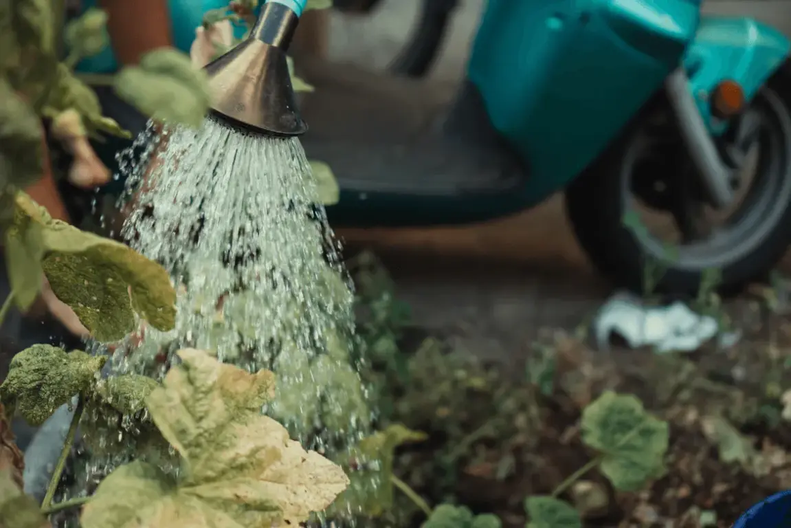 6 Ideas To Transform Your Home's Exterior