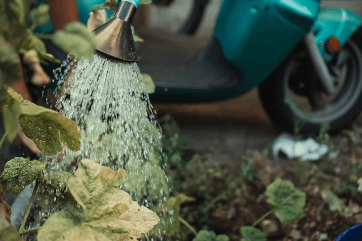 Sprinklers