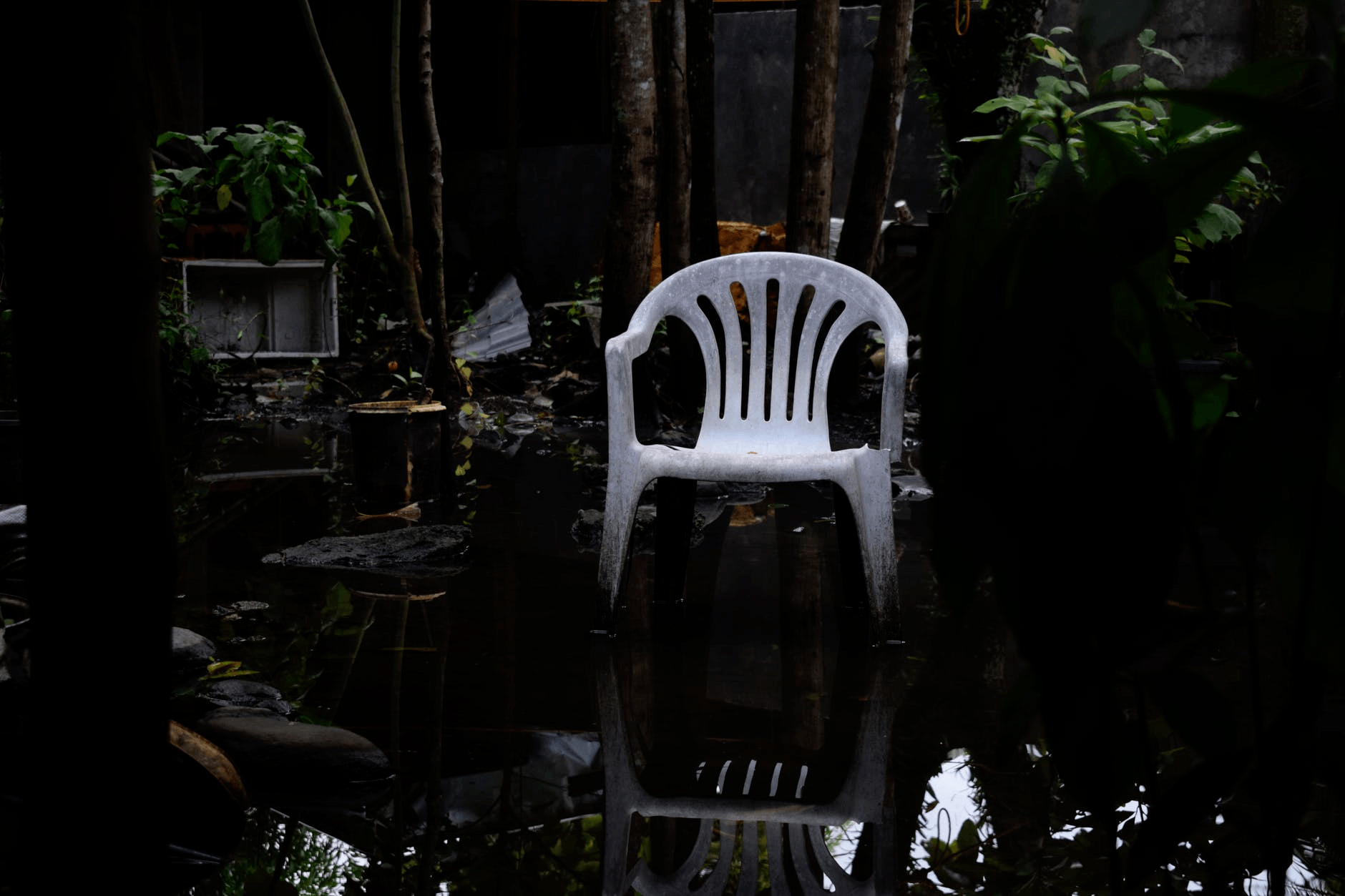 Why Do Insurance Companies Deny Water Damage Claims? Find