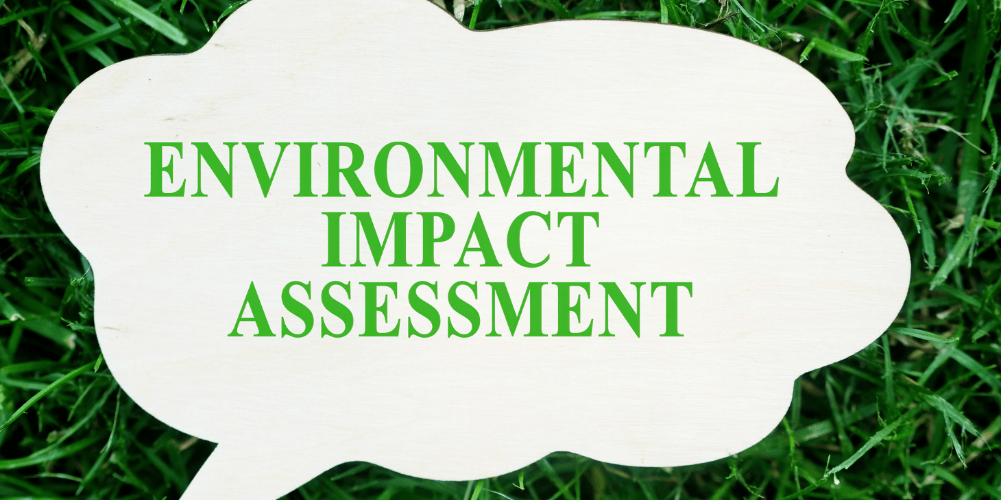 Environmental impact assessment. Environmental Impact.