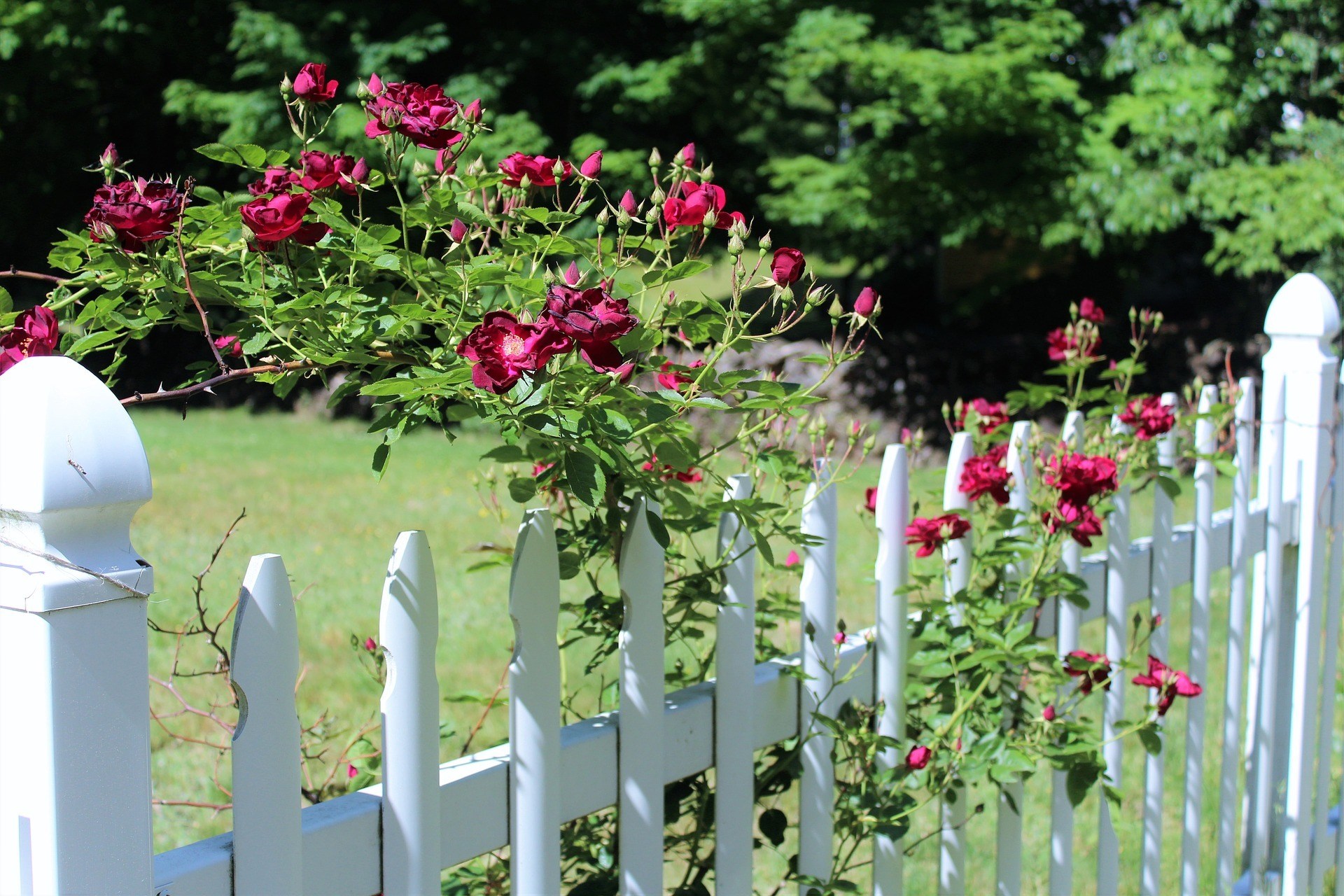 The Best Time to Upgrade Your House Fence
