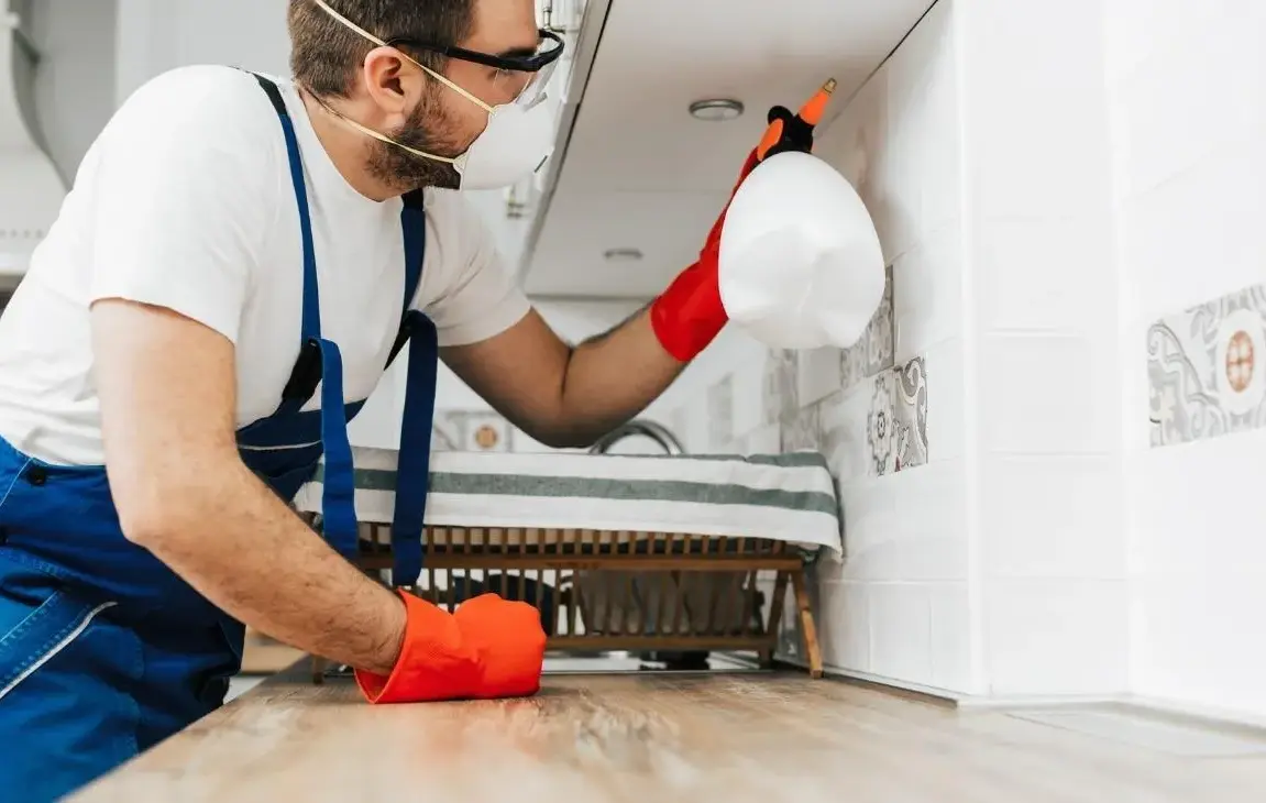 3 Reasons to Hire a Professional Exterminator