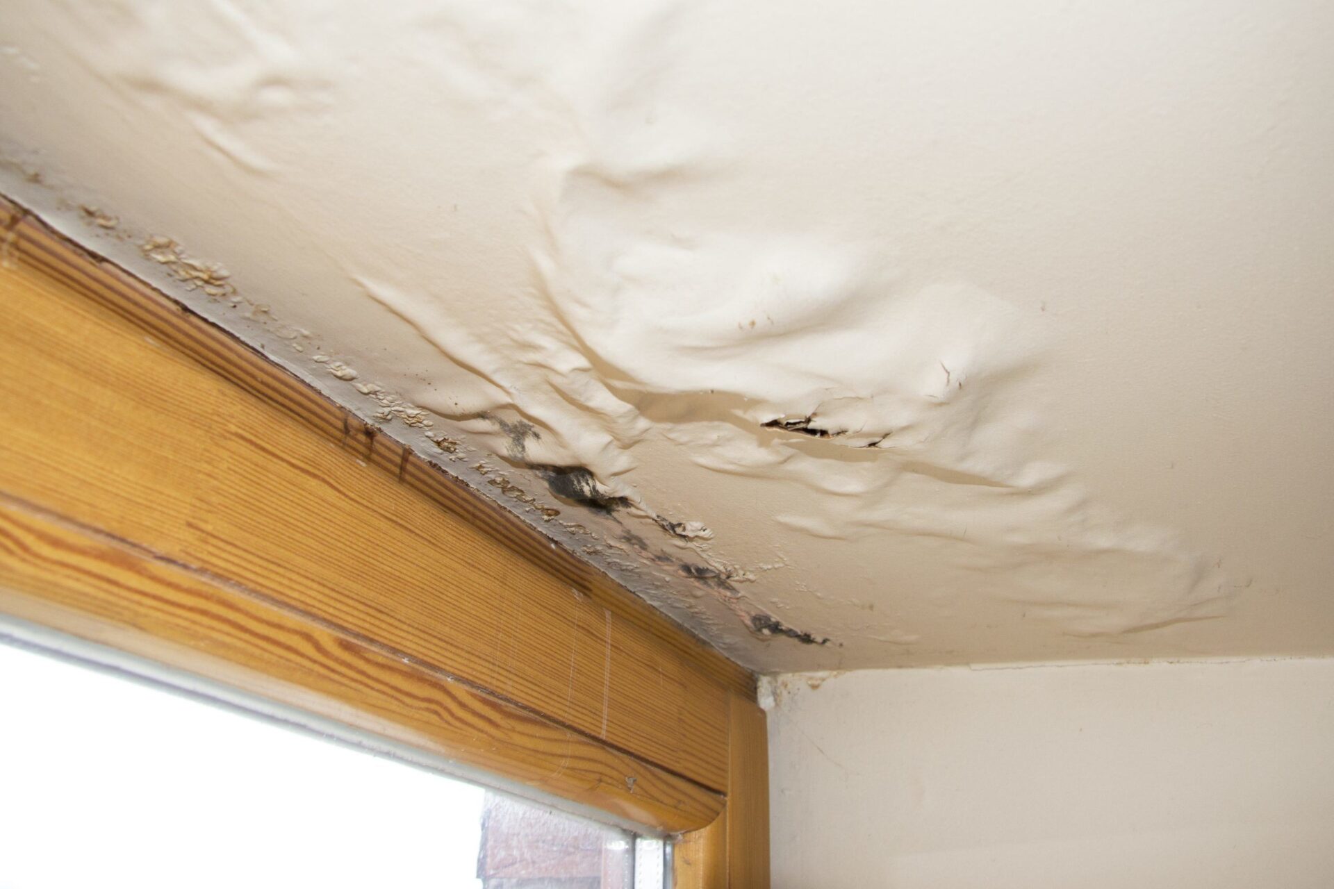 8 Ways To Prevent Water Damage In Your Home