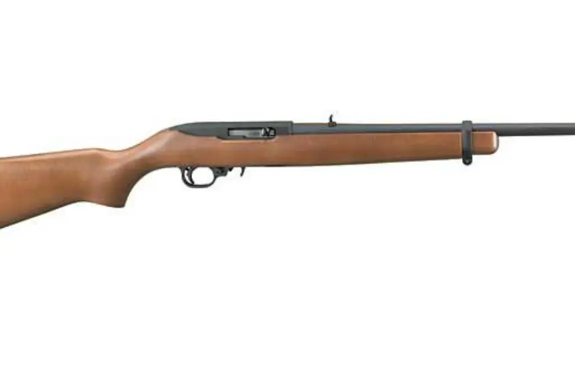 How to Choose the Best Sight for your Ruger 10/22?