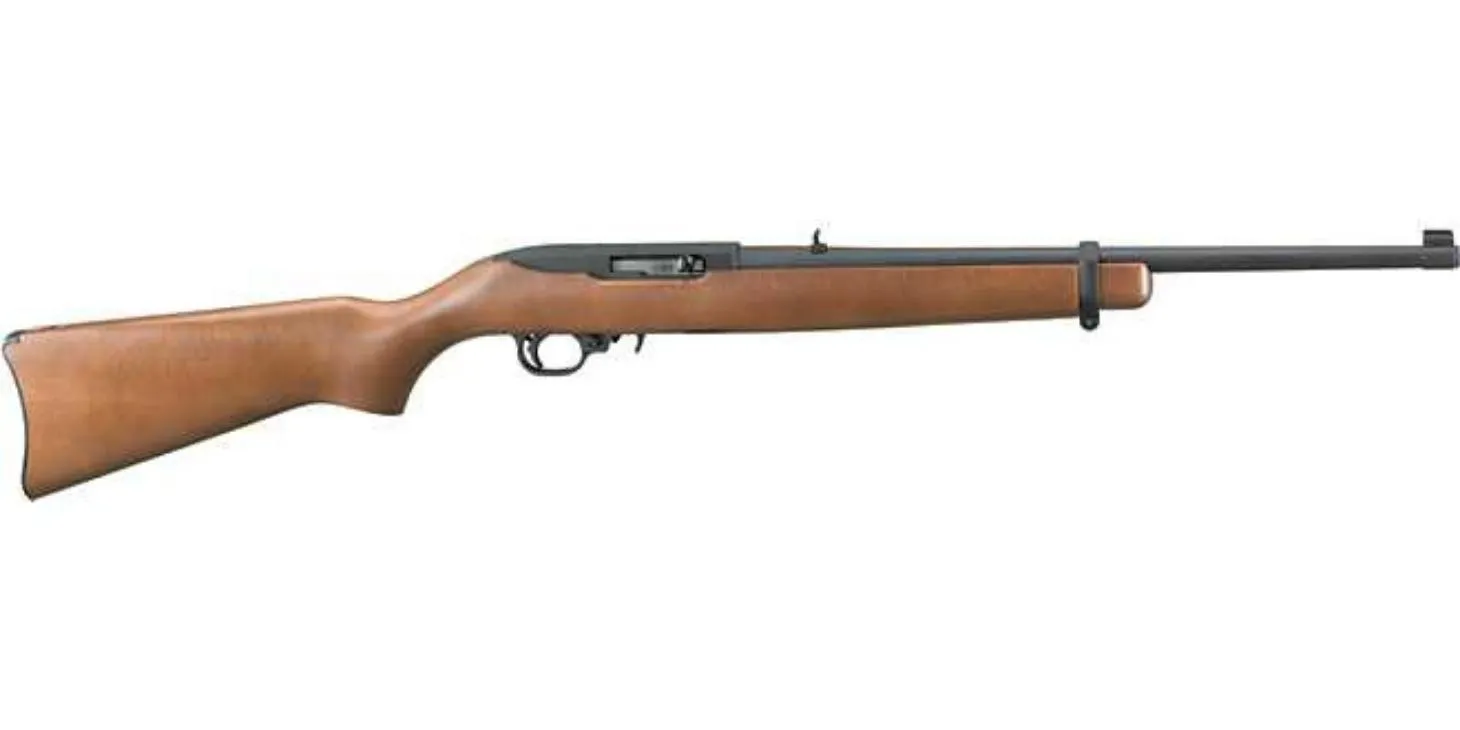 How to Choose the Best Sight for your Ruger 10/22?