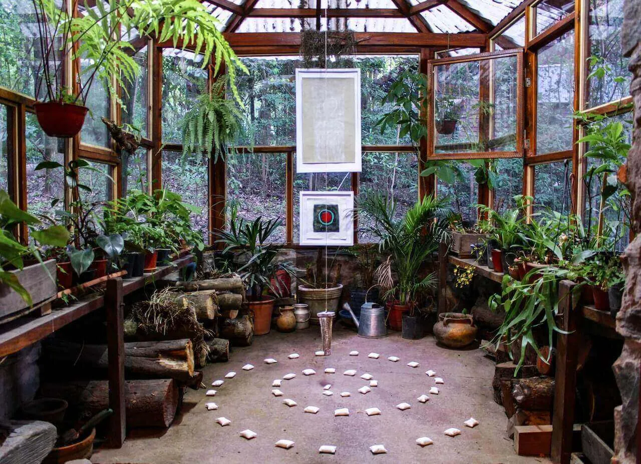 Decorate your Indoor Space with Aesthetic Plants