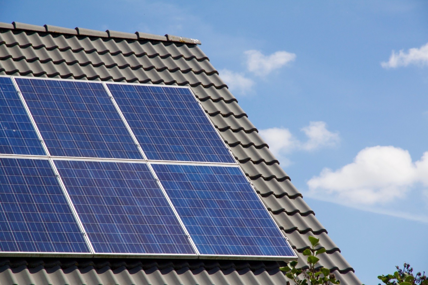 Things to Know Before Installing Solar Panels CA | Homienjoy