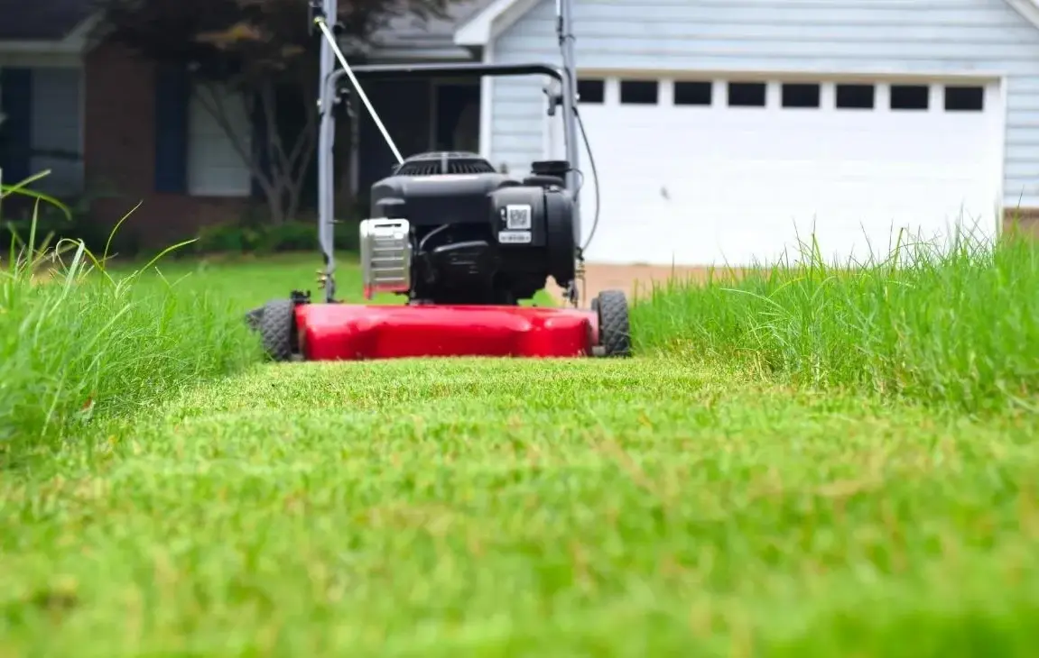 5 Benefits of Lawn Mowing Why to Use a Lawnmower for Landscaping Your Lawn